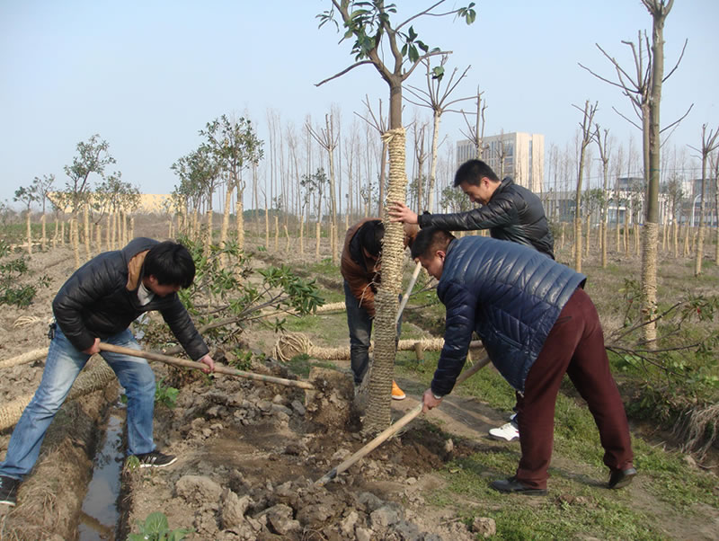 恒源建機(jī)組織員工積極開展三月植樹節(jié)公益活動(dòng)